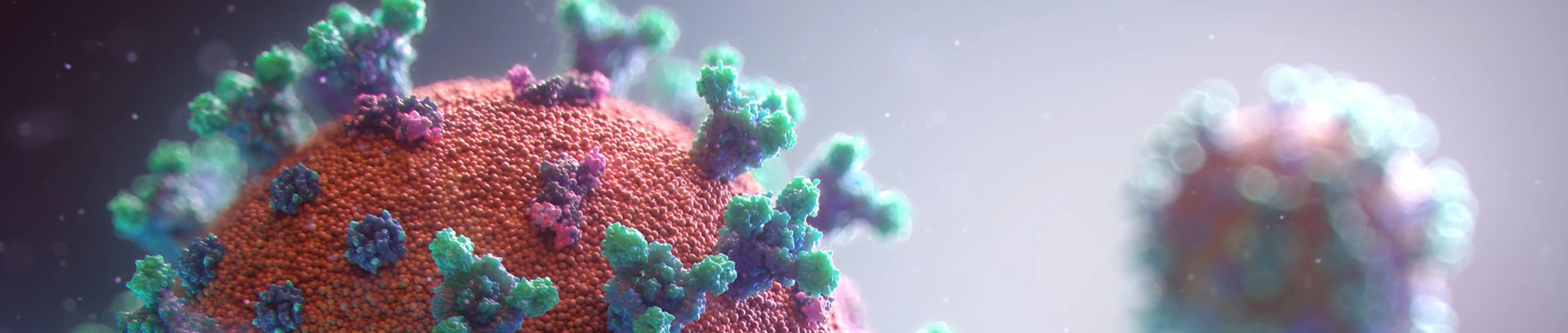 Visualisierung des Corona-Virus. © Unsplash.com